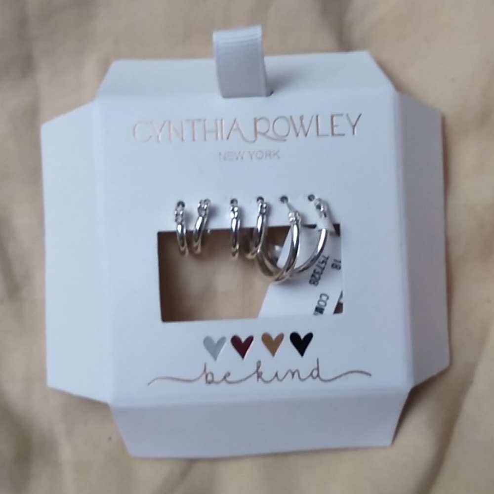 Earrings